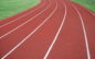 US Senators Introduce Bill to Prohibit Males Who Identify as Female From Competing in Girls’ School Sports US Senators Introduce Bill to Prohibit Males Who Identify as Female From Competing in Girls’ School Sports