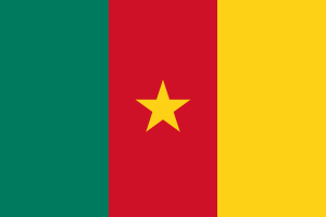 Cameroon flag