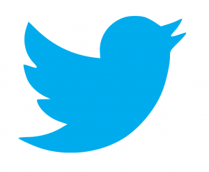 Twitter bird