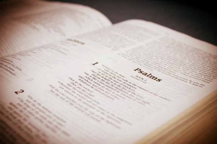Tennessee Governor, Lt. Governor: Designating Bible State Book ‘Belittles’ Holy Scriptures