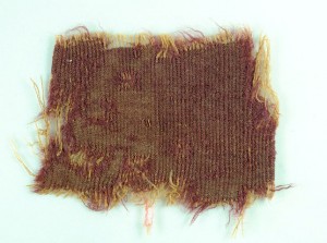 2,000-year-old fabric dyed with murex snail extract