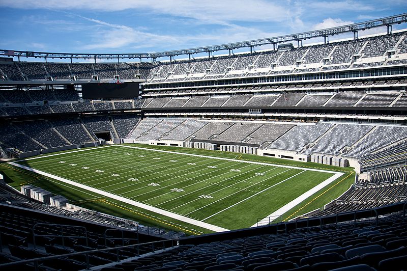 Met Life Stadium Credit Baby Knight