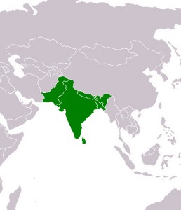 South Asia