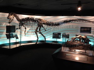 Creation Museum exhibit