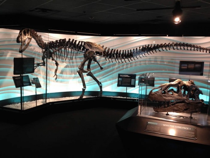 Creation Museum Unveils ‘Exceptional’ Dinosaur Exhibit to Challenge Evolution