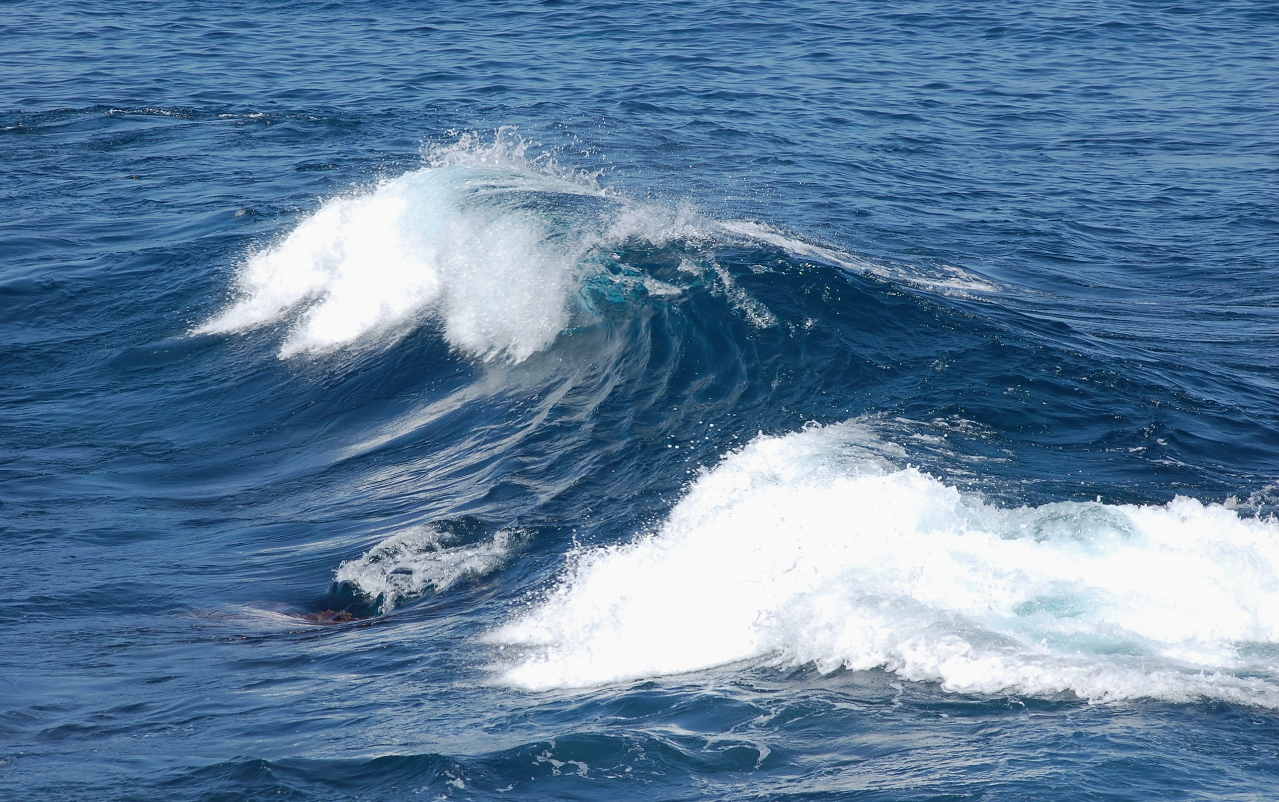 Ocean wave