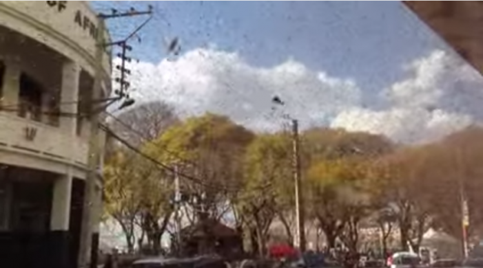 Millions of Locusts ‘Like the Plagues of Egypt’ Swarm Madagascar’s Capital