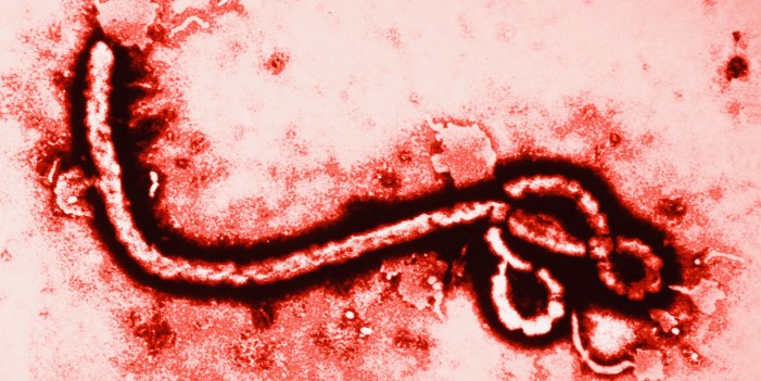 Second Deadliest Ebola Outbreak in History Spreads to Major City in Congo