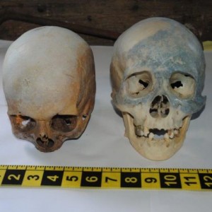 Human-Skulls