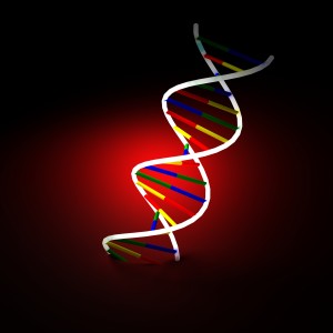 DNA-genes