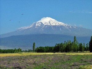 Mt. Ararat