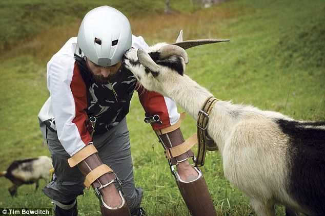 U.K. Man Takes ‘Holiday From Being Human’ to Live as Goat