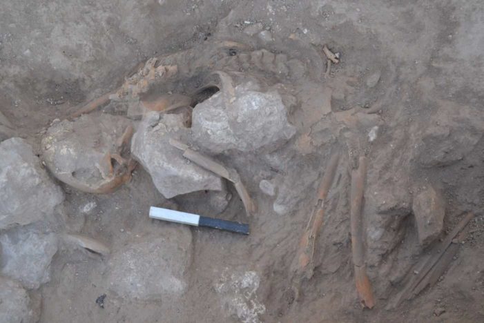 First Discovery of Bodies in Biblical Gezer From Fiery Destruction 3,200 Years Ago