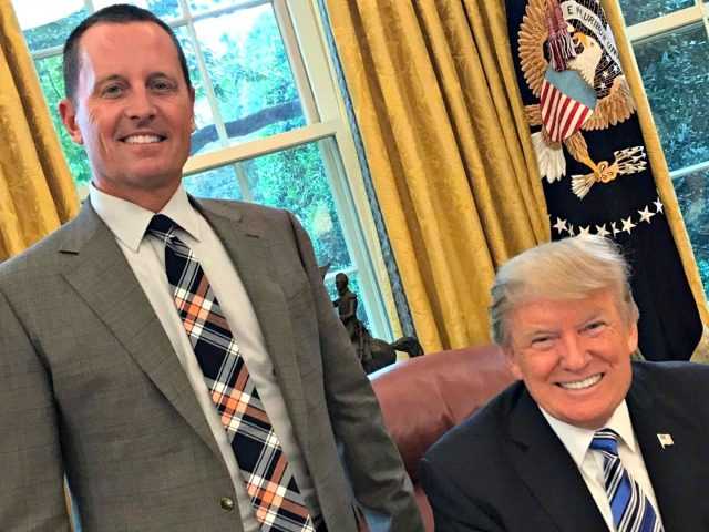 Ambassador Richard Grenell