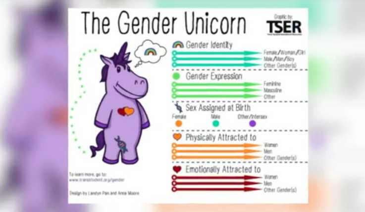 Teacher Issues 'Gender Unicorn' Handout to Students on First Day of