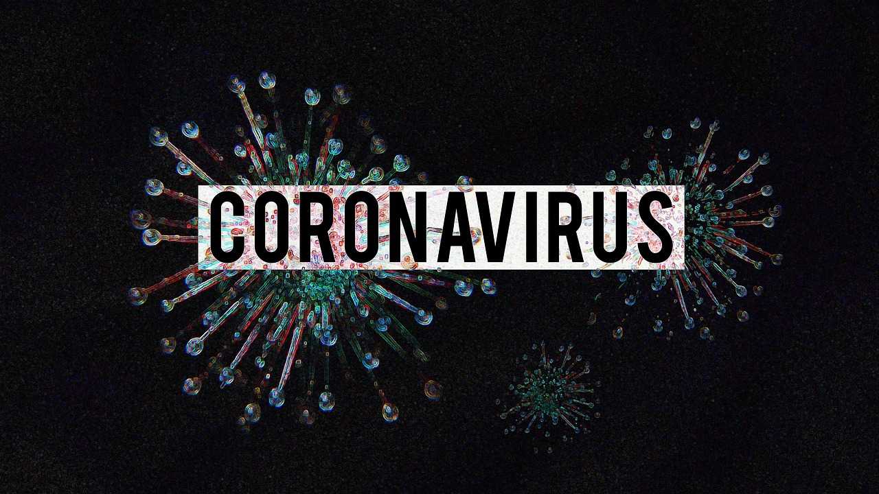 Coronavirus Credit Olga Lionart Pixabay-compressed