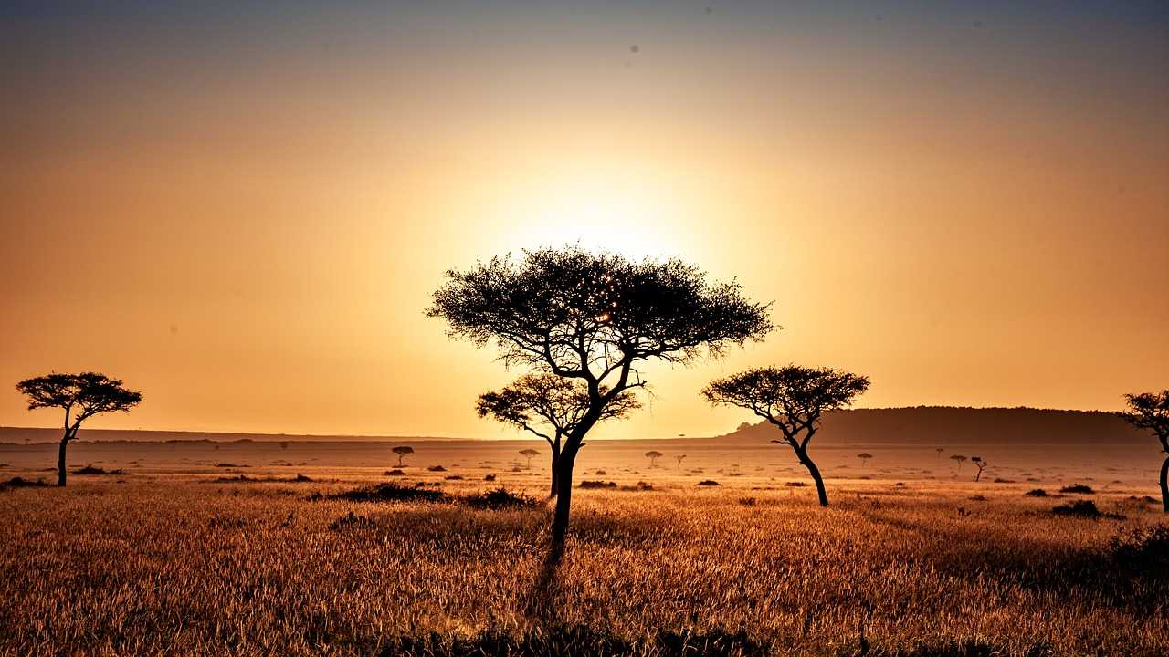 Kenya Credit Dan Sundermann Pixabay-compressed