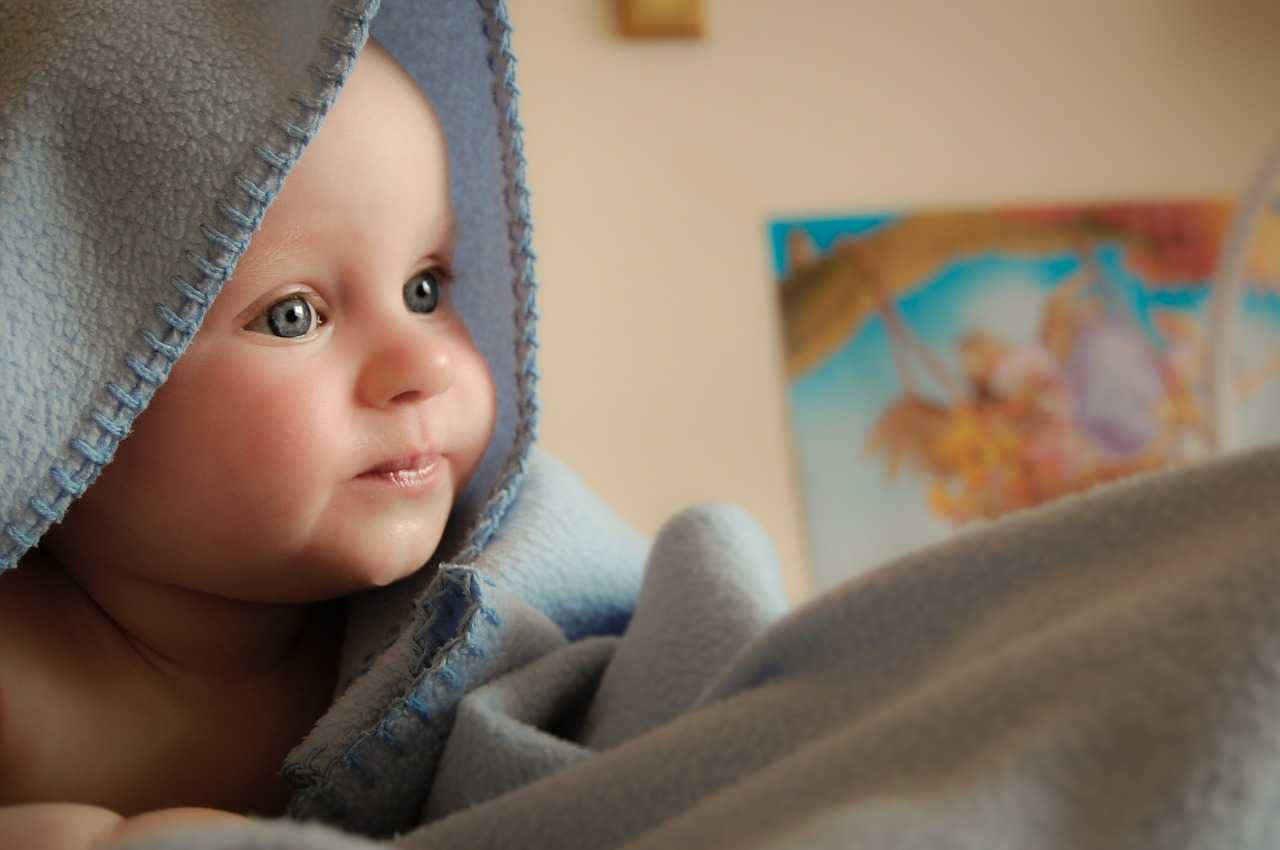 Baby Credit Michal Jarmoluk Pixabay-compressed