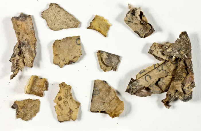 2,000-Year-Old Biblical Texts Found in Israel, 1st Since Dead Sea Scrolls