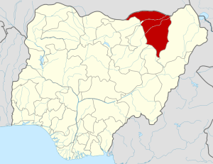 Islamic Extremist Terrorists Kill 14 Christians in Northeast Nigeria 