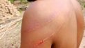 Tribal Men in India Assault Pastor, Family for their Faith