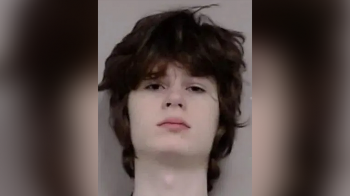 ‘Trans’ neo-Nazi teen in Hindu temple murder plot to receive jail ‘hormone treatment’